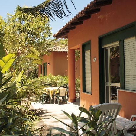 Vila Le Palme Garden San Giorgio  Exteriér fotografie
