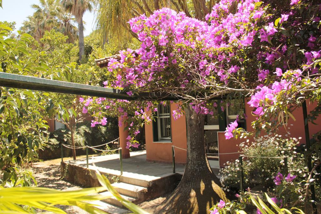 Vila Le Palme Garden San Giorgio  Exteriér fotografie