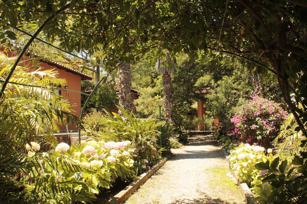 Vila Le Palme Garden San Giorgio  Exteriér fotografie